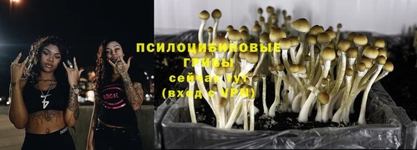 гидропоника Алексин