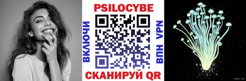 Галлюциногенные грибы Psilocybine cubensis  blacksprut   Себеж 